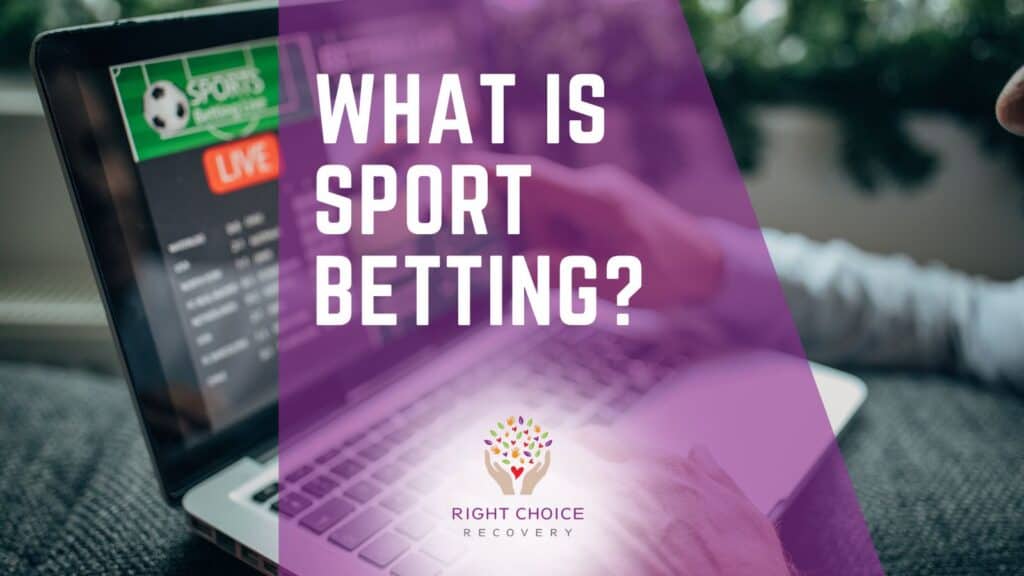 Discover the Best Sportsbook Loyalty Programs for Betting Enthusiasts Discover the Best Sportsbook Loyalty Programs for Betting Enthusiasts