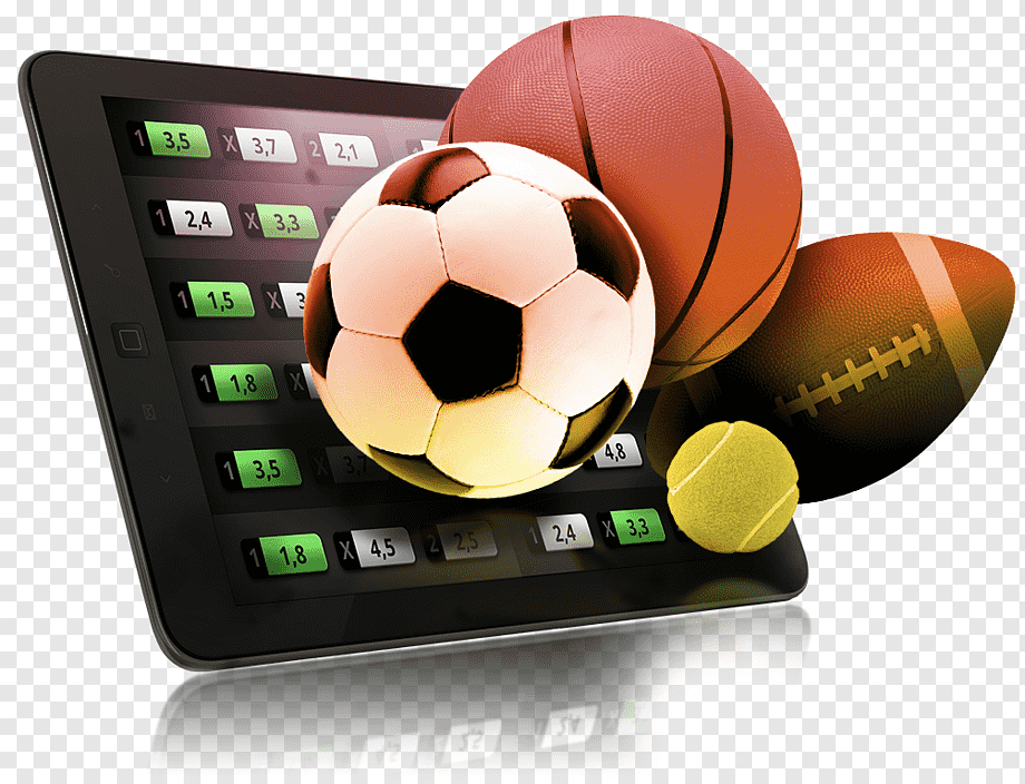 Maximizing Your Gains Exploring Sports Betting Loyalty Rewards Maximizing Your Gains Exploring Sports Betting Loyalty Rewards
